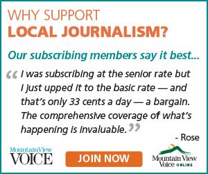 MVV Support Local Journalism MR 2