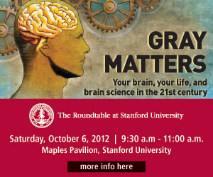 Stanford Roundtable - Gray Matters
