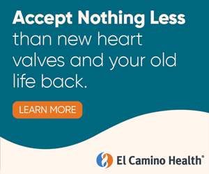 MVV ECH Heart LEAD